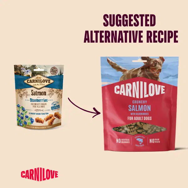 Carnilove Salmon With Blueberries Crunchy Snack For Dogs 200g