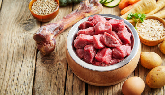 7 things You Need to Know Before Starting Your Dog on Raw Food