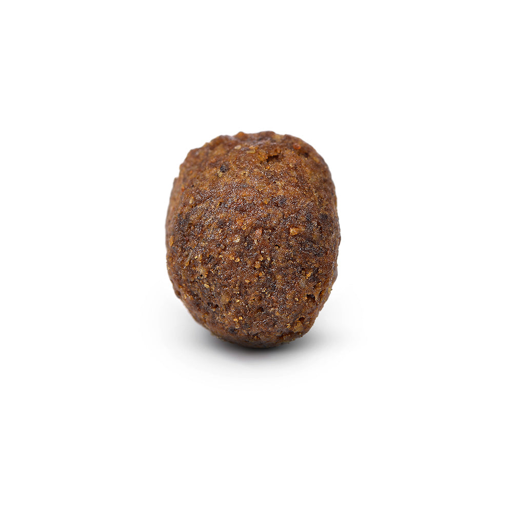 Arden Grange Sensitive Adult Dog Food - Fish & Potato