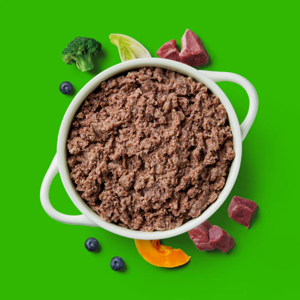 Nutriment Gently Steamed Lamb Recipe for Adult Dogs